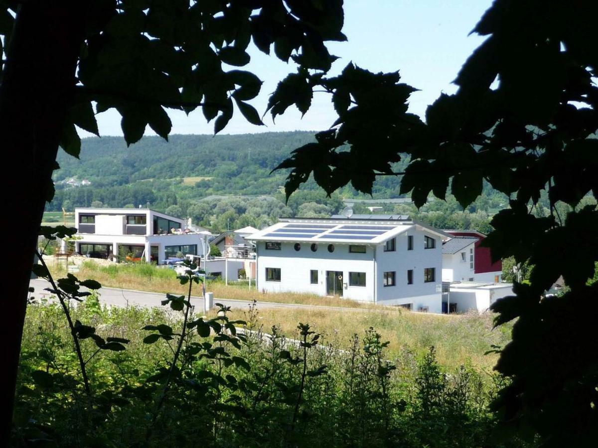 Apartment Haus Bodenseeblick Bodman-Ludwigshafen